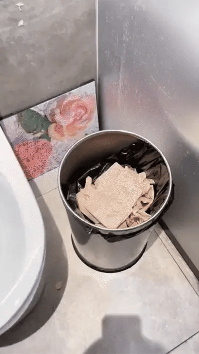 QuickClean Disposable Toilet Brush